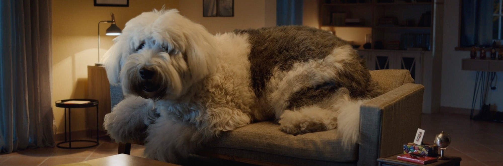A giant dog grabs attention in this Skoda ad, but is it barking up the wrong tree?