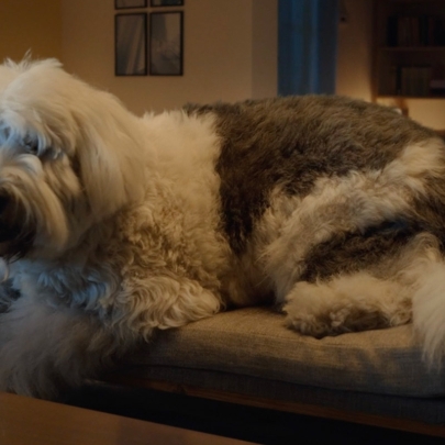 A giant dog grabs attention in this Skoda ad, but is it barking up the wrong tree?