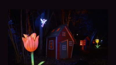 Up Next: Behind the Scenes: Studio Giggle brings 4d fairies to life at Tulley’s Farm