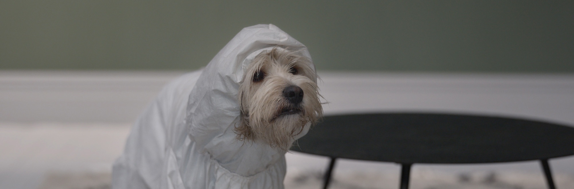 Homeowners take it a step too far in this series of debut TV ads for Farrow & Ball