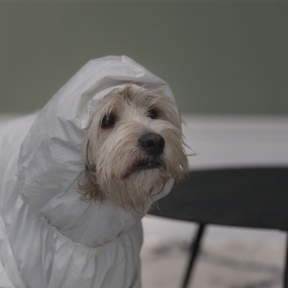 Homeowners take it a step too far in this series of debut TV ads for Farrow & Ball