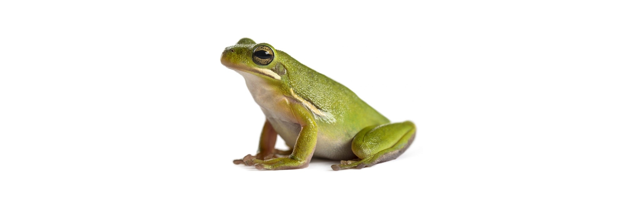 Is advertising like a boiling frog?