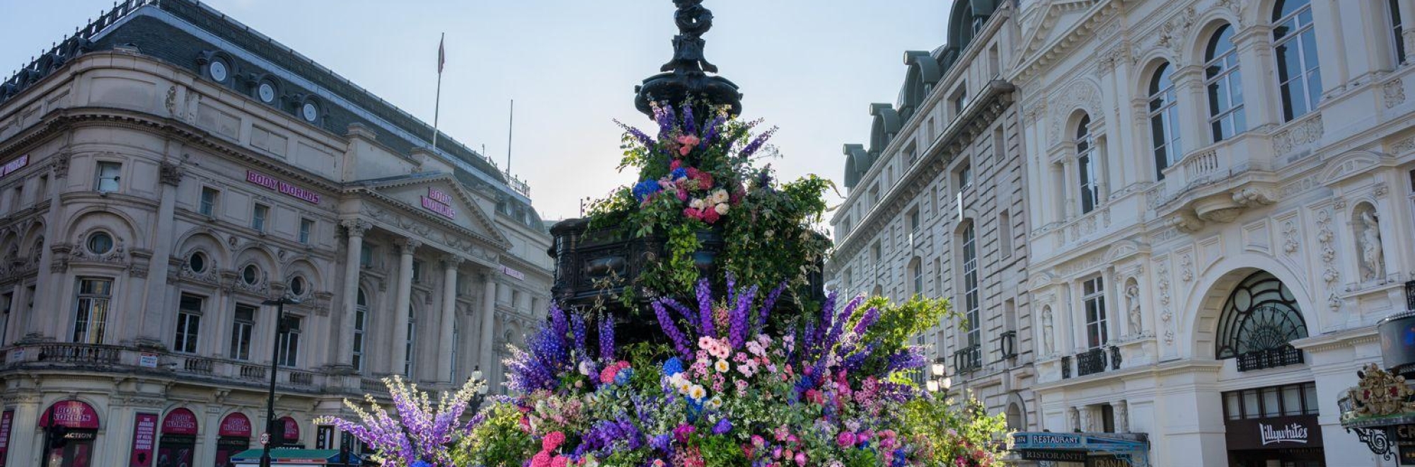 Londoners surprised with a series of secret floral displays by ‘Botanical Banksy’