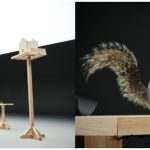 Carling Black Label brings back its iconic squirrel ad