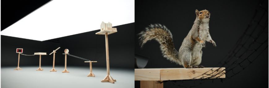 Carling Black Label brings back its iconic squirrel ad