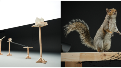 Up Next: Carling Black Label brings back its iconic squirrel ad