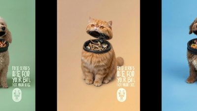 Up Next: Coca-Cola and a pet shop deploy attention-grabbing hacks