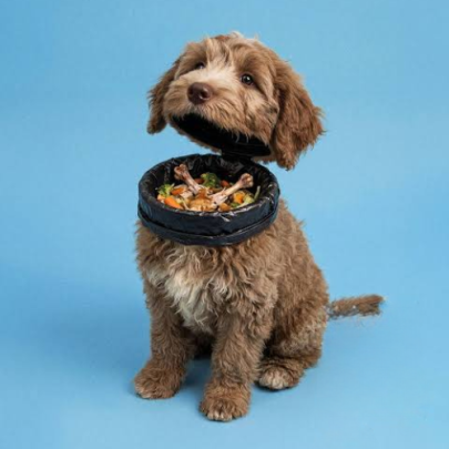 Coca-Cola and a pet shop deploy attention-grabbing hacks