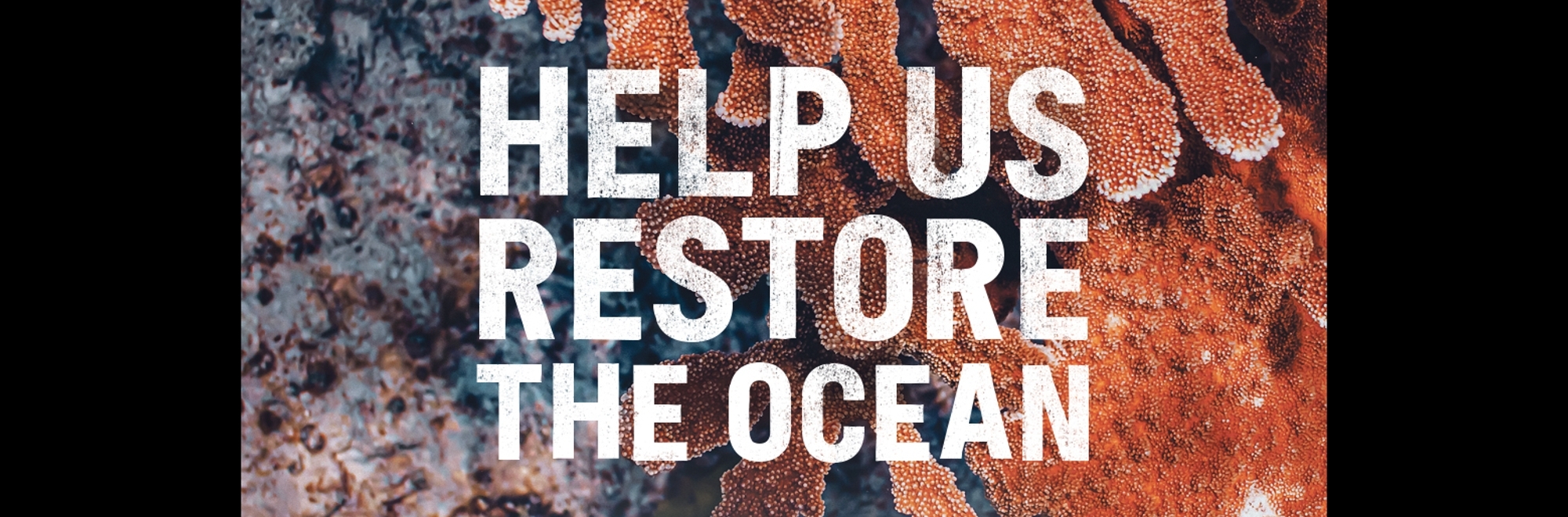 Corona rallies support to save endangered coral reefs with page turning creative