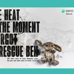 Creative Coalition brings attention to the heartbreak of natural disasters