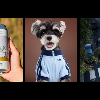 Creative Corner: dogs decked out, cans of literature and sobering crosswalks
