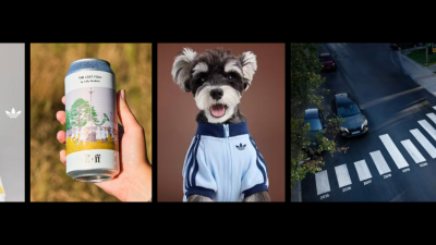 Up Next: Creative Corner: dogs decked out, cans of literature and sobering crosswalks