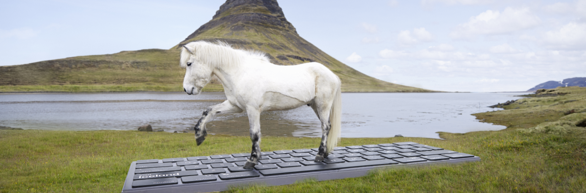 Creative Corner: The Unburnable Book, Period Crunch and horsing around with Visit Iceland