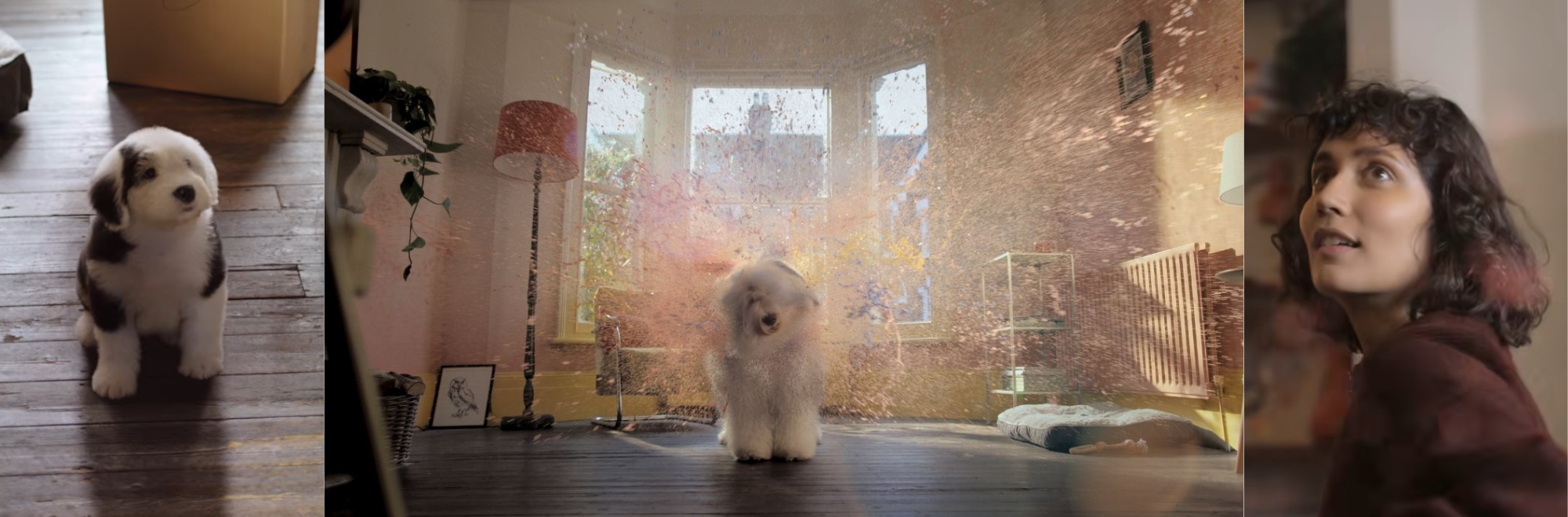 Dulux dog returns in colourful comeback