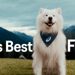 Four legs, one mission: Asics signs a dog to inspire the world to move for body and mind