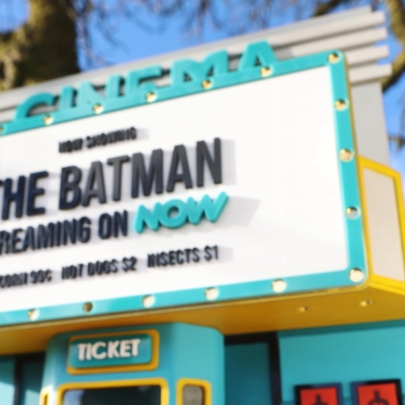 Give a bat a home this Christmas with a ‘bat box office’
