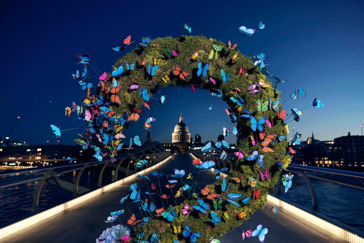 BUCK GOSH Butterflies St Pauls 1