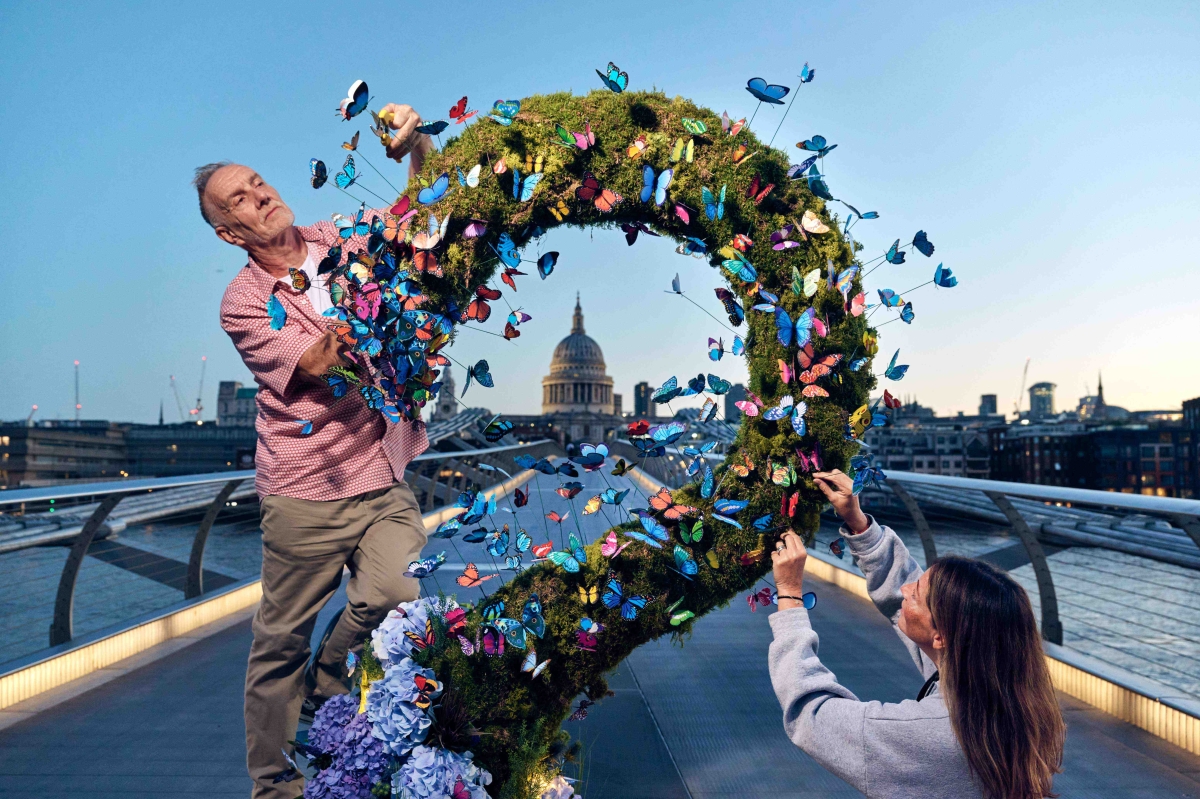 BUCK GOSH Butterflies St Pauls 3