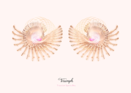 Triumph 3
