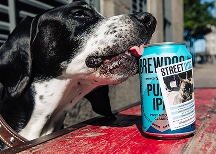 Brewdog 2