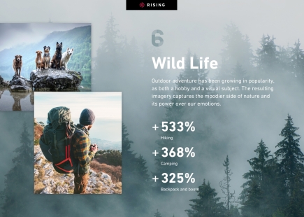 Presentation Wild Life En