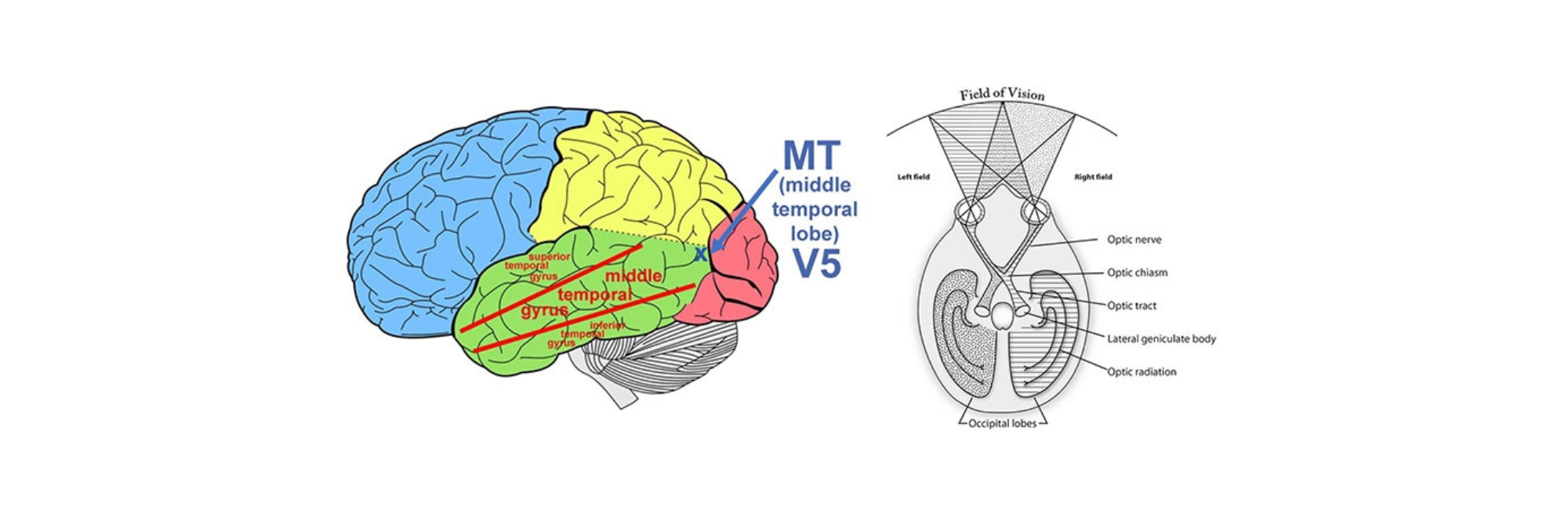 How lateral thinking gives a creative more vision