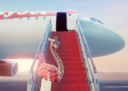 Giraffmingo By Plane