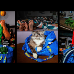 IKEA delivers messy ode to another brand icon: its Frakta bag