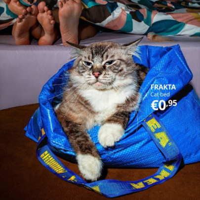IKEA delivers messy ode to another brand icon: its Frakta bag