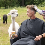 IPA brand makes the cut with genuinely useful experiential pop-up