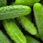Is Pret's pickle shortage a PR plan, or is the community too cynical?