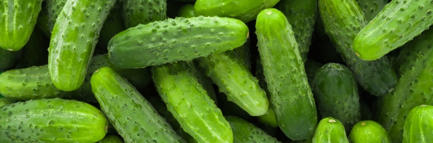 Is Pret's pickle shortage a PR plan, or is the community too cynical?