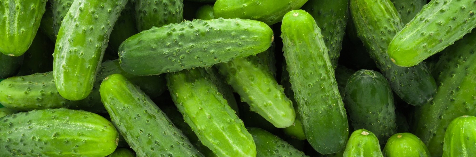 Is Pret's pickle shortage a PR plan, or is the community too cynical?