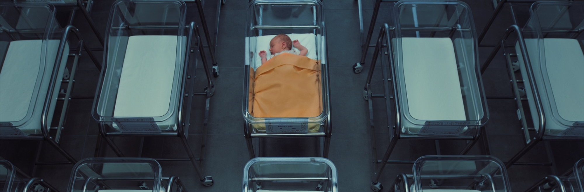 Adamo 2050: A mockumentary addressing the apocalyptic scenario of declining birth rates