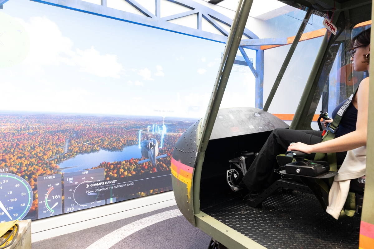 4d Flight Simulator shot 2