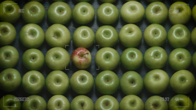 Up Next: Oddbox says ditch shiny supermarket products for flavourful wonky food