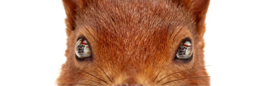 Pip & Nut's ad wins over fans... and a squirrel