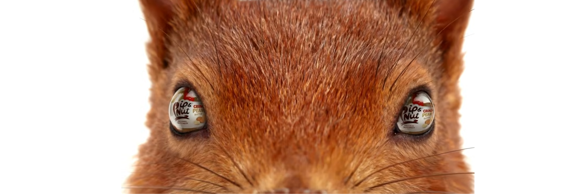 Pip & Nut's ad wins over fans... and a squirrel