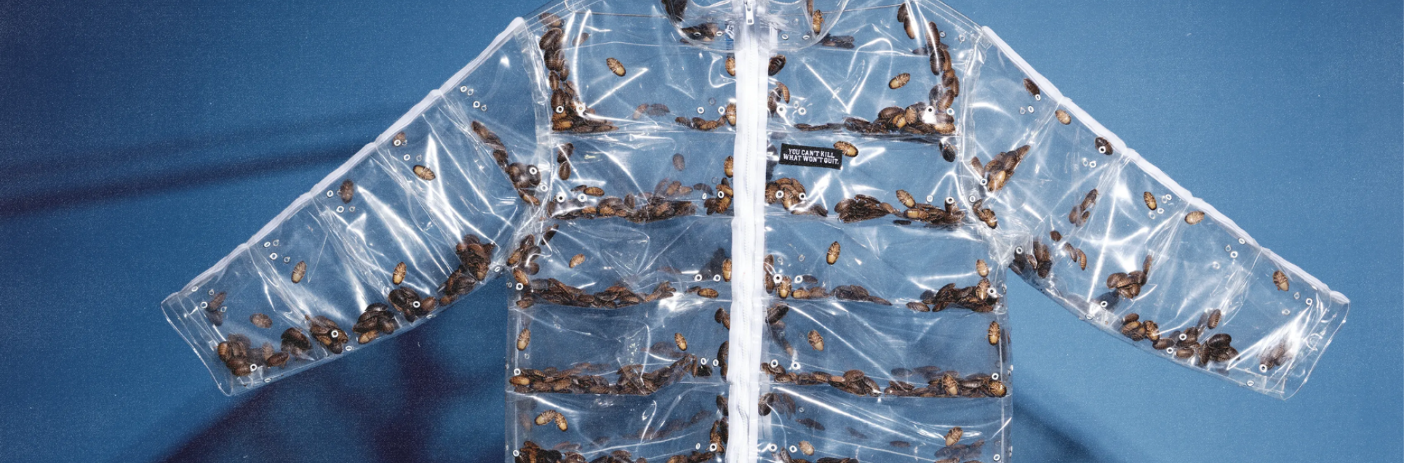 Puffer jackets are back, this time with cockroaches