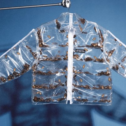 Puffer jackets are back, this time with cockroaches