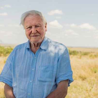 Stars unite with WWF to mark Sir David Attenborough’s 100th birthday