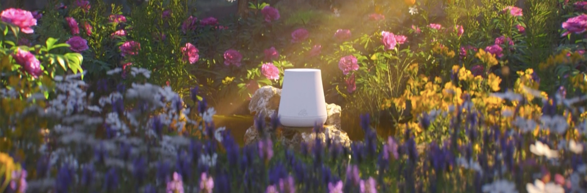 Havas takes Air Wick back to nature in this calming, meditative spot