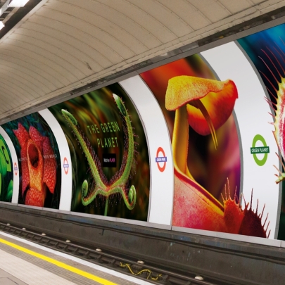 The Green Planet takes over Green Park Tube station to launch Sir David Attenborough’s new landmark series
