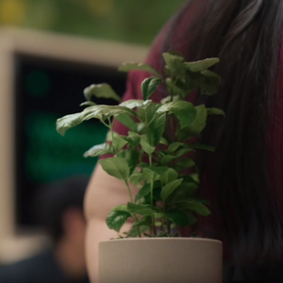 The greenest Apple yet: a serious campaign or a distraction tool?