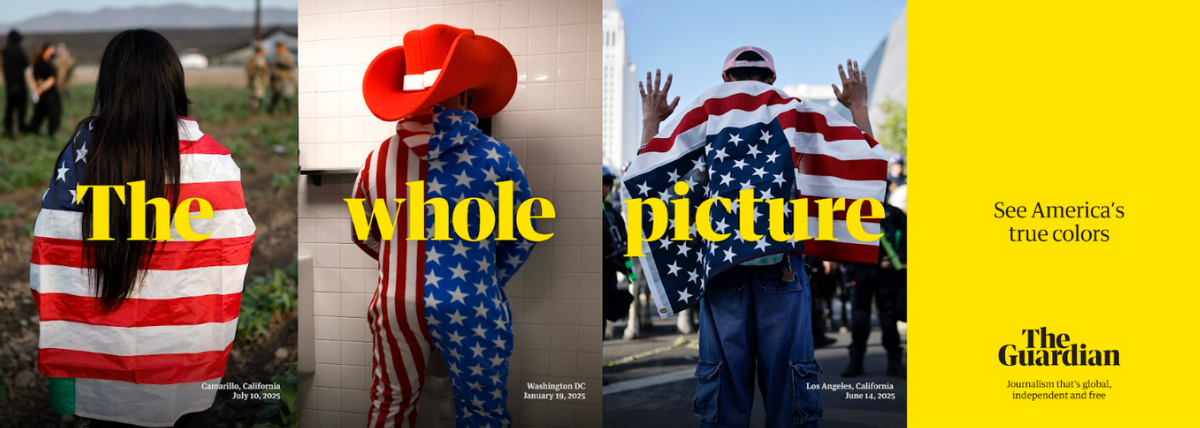 Whole picture 3