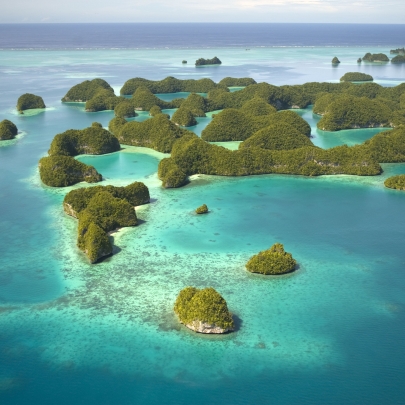 The "Palau Pledge" stamped passports