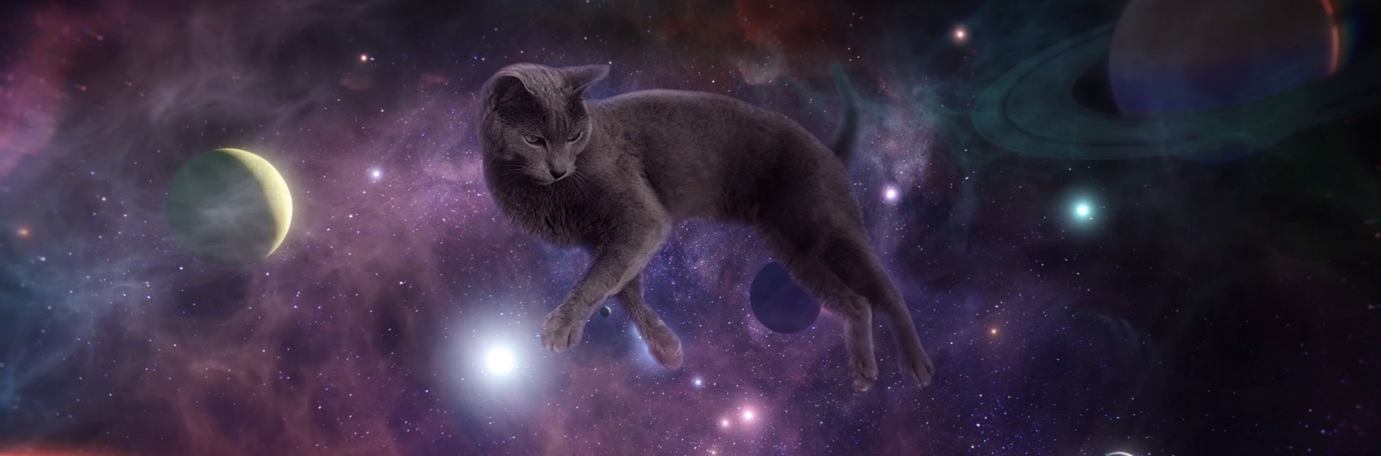 Sheba releases sleep-inducing ad to help cat owners get back to sleep