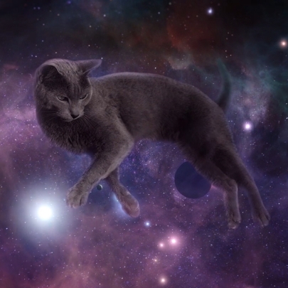 Sheba releases sleep-inducing ad to help cat owners get back to sleep