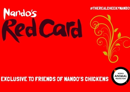 Nandos 3