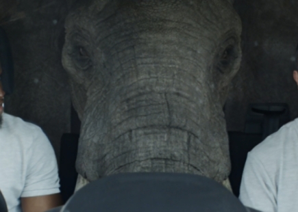 Elephant In The Transit Ford Campaign Main